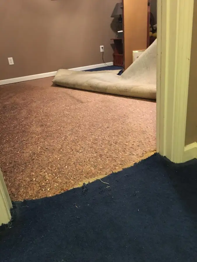 Carpet pad removal revealing water damage during Drying & Dehumidification in Treasure Island