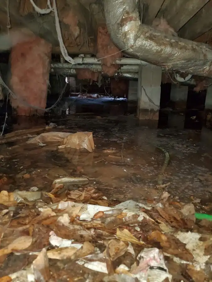 Crawl space flood assessment for Commercial Water Damage Restoration in Treasure Island