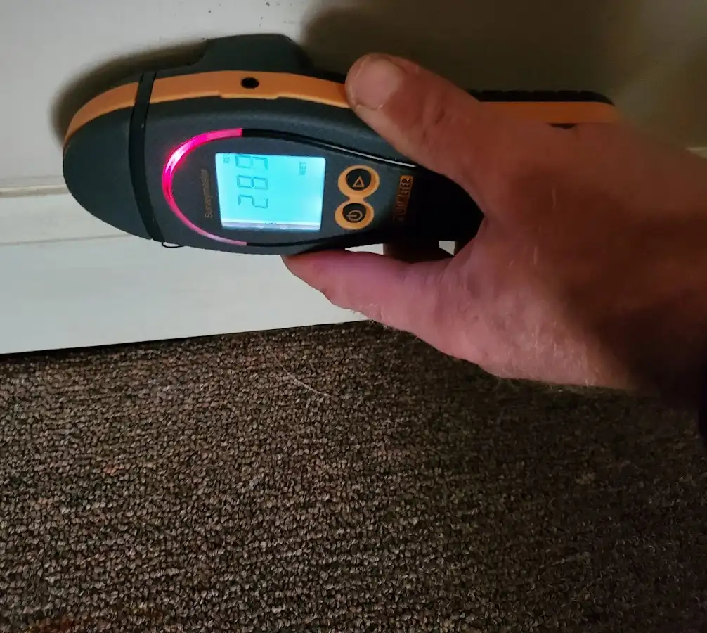 Moisture detection at baseboard during Mold Inspection & Testing in Treasure Island